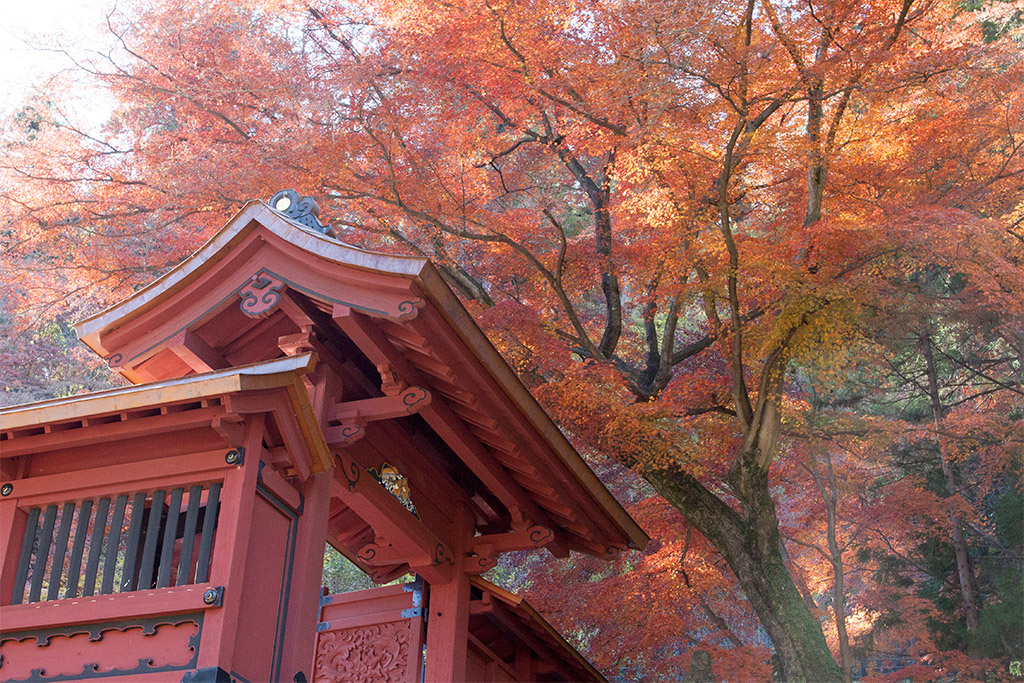 妙義神社の紅葉（２）_f0160440_18395870.jpg