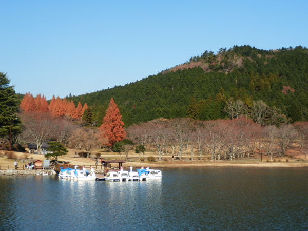c0047341_17301891.jpg