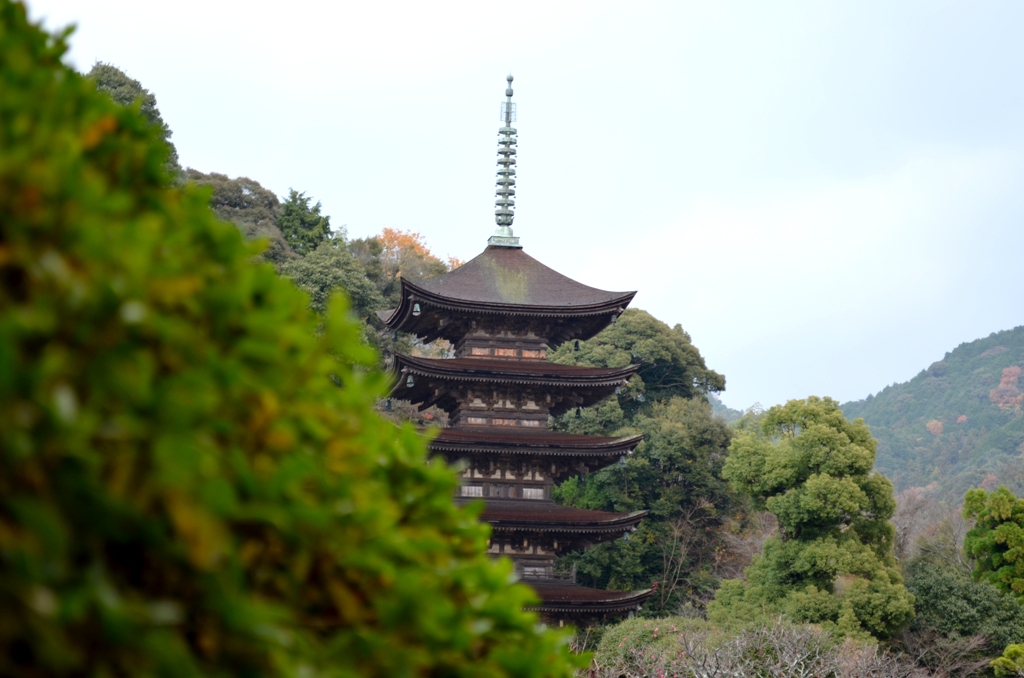 ”束の間の瑠璃光寺五重塔”_d0153941_1981165.jpg