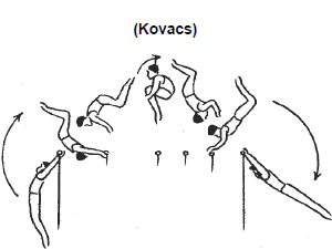 e0303850_030613.png