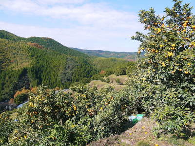 a0254656_17362158.jpg