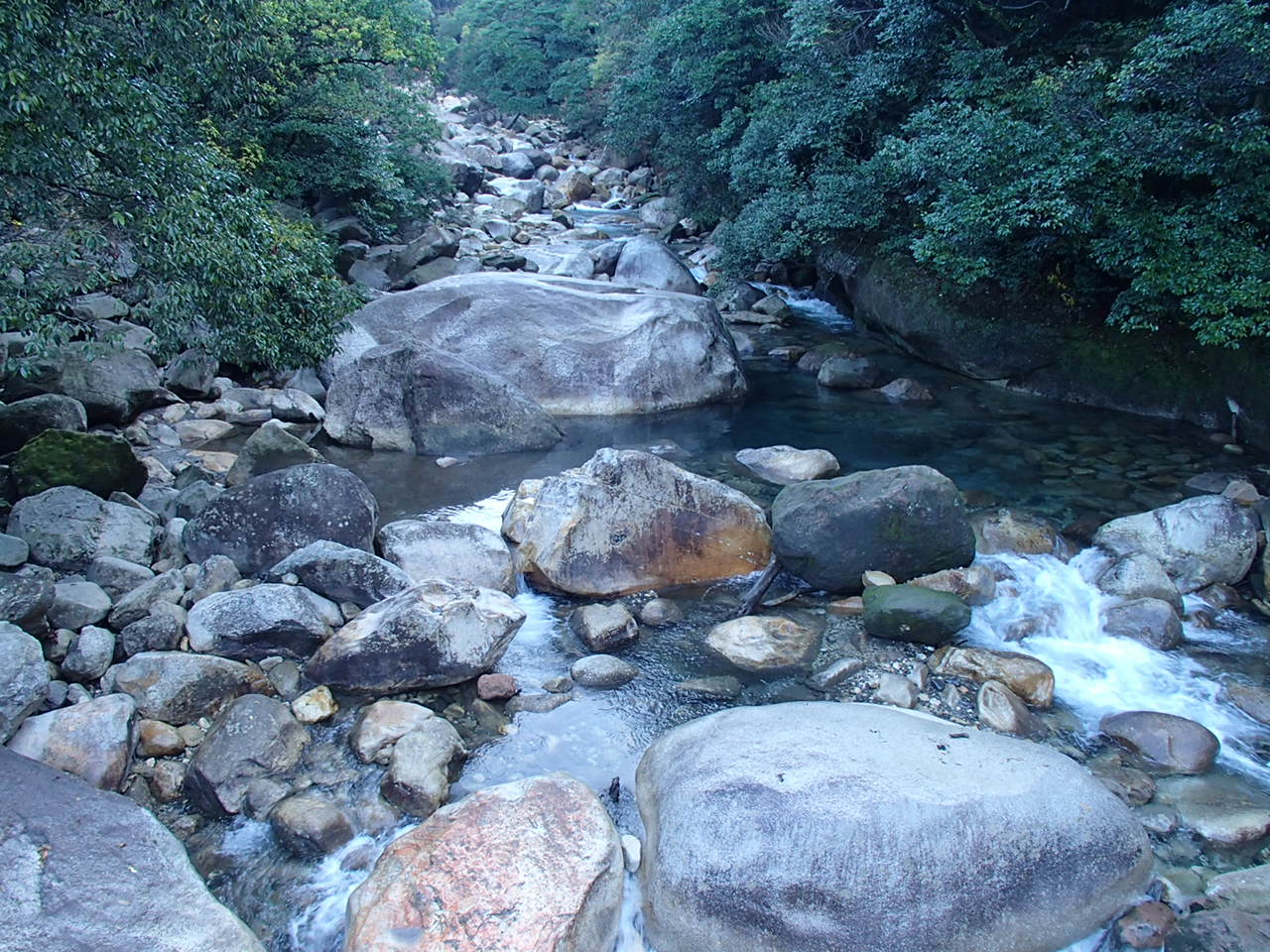 b0276758_13563517.jpg