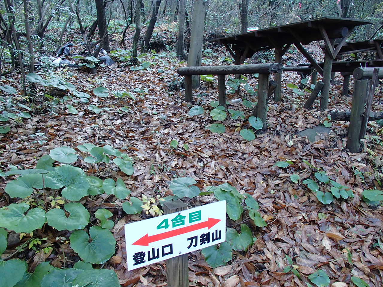 b0276758_14114269.jpg