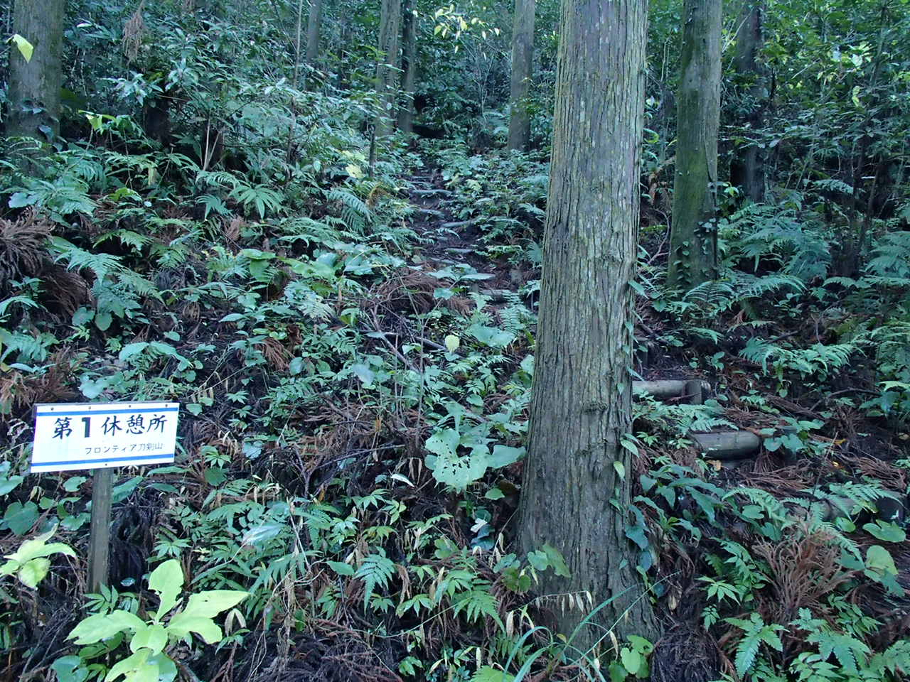 b0276758_1415461.jpg