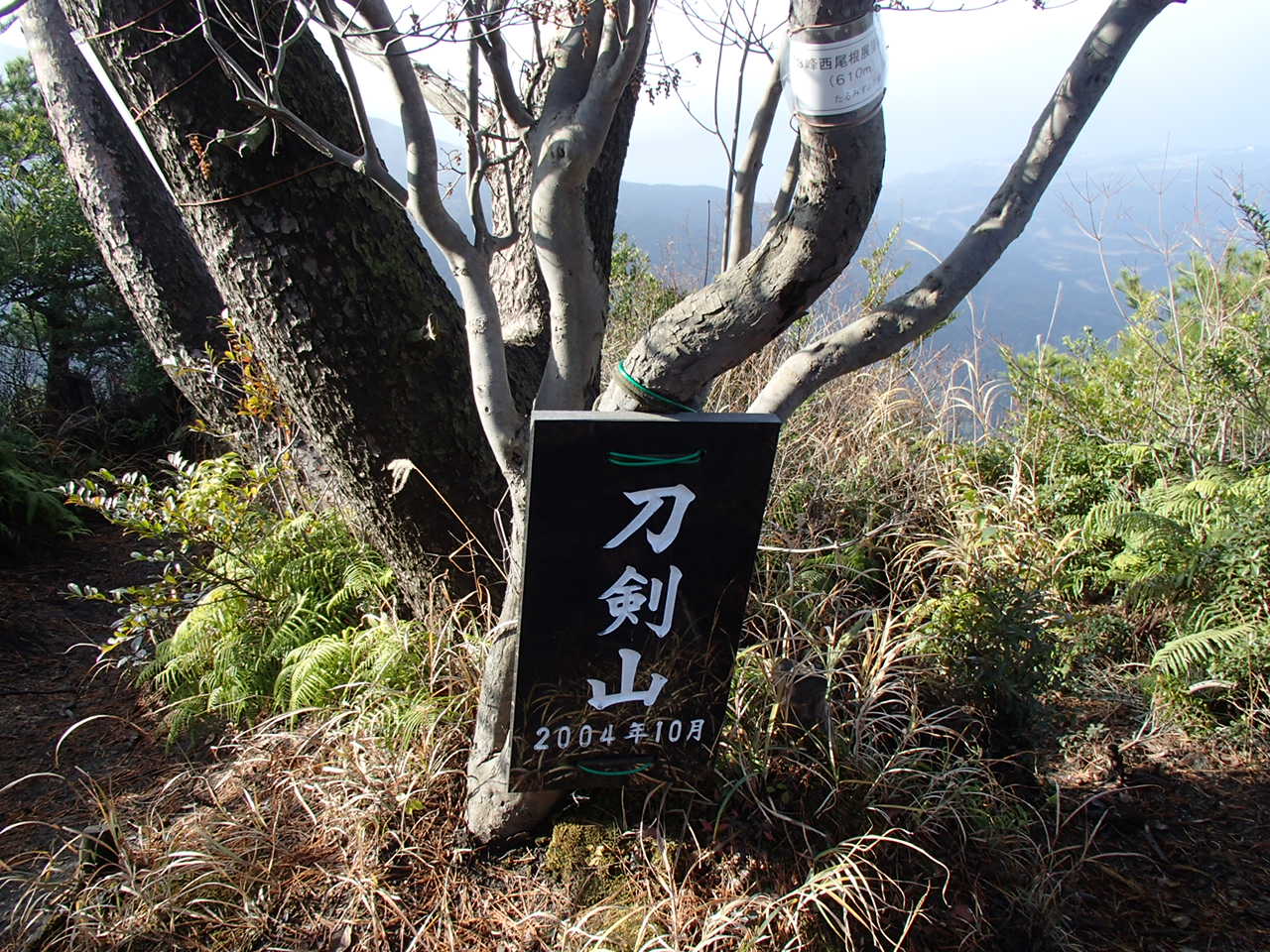 b0276758_14225489.jpg