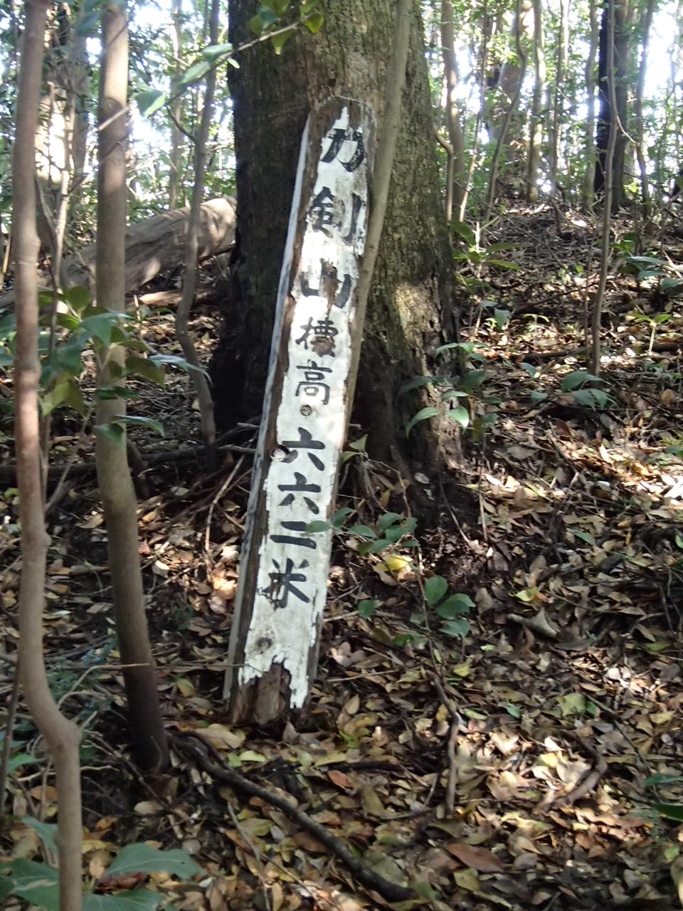 b0276758_14245349.jpg