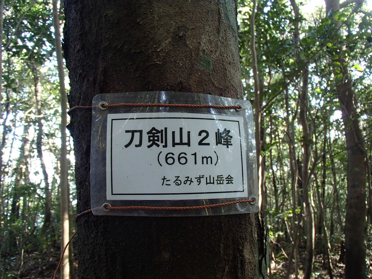 b0276758_14253463.jpg