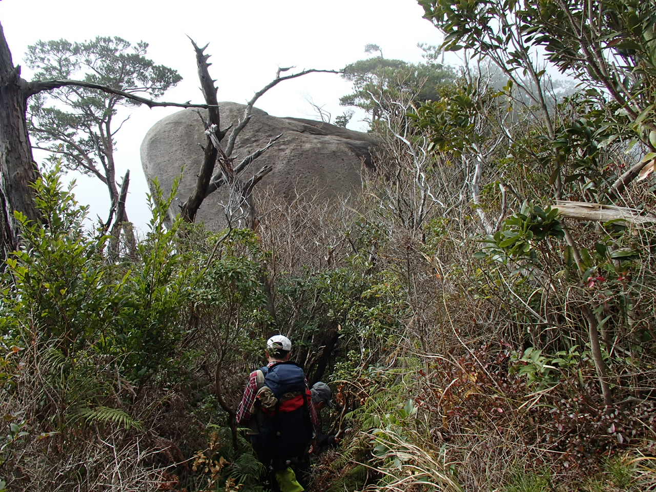 b0276758_14261797.jpg