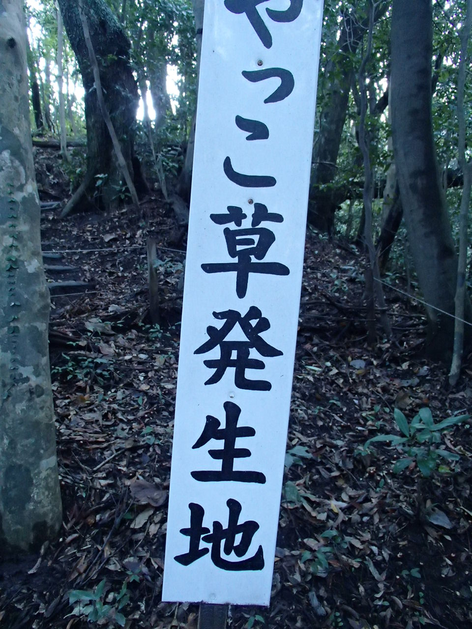 b0276758_147362.jpg