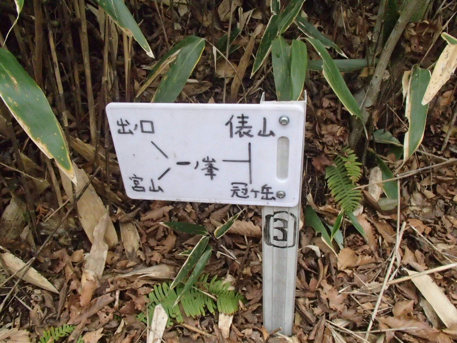 b0276758_1711509.jpg