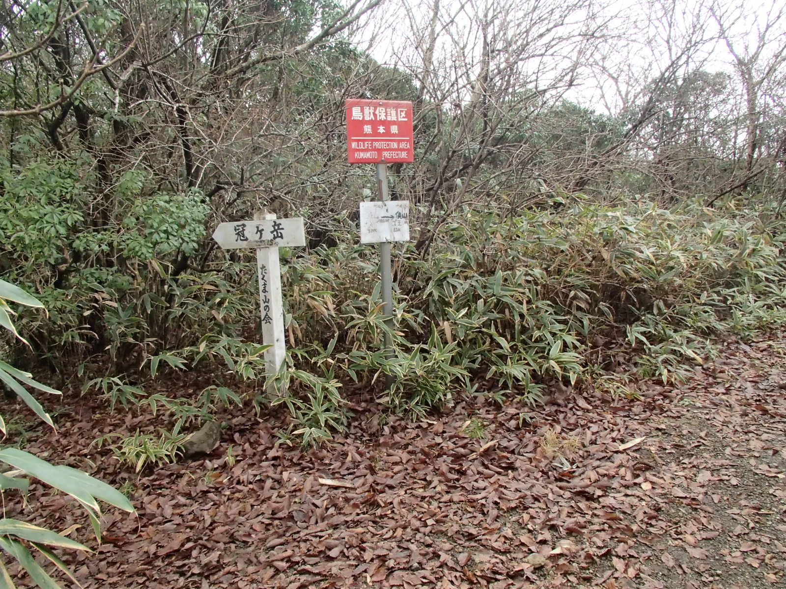 b0276758_171757.jpg
