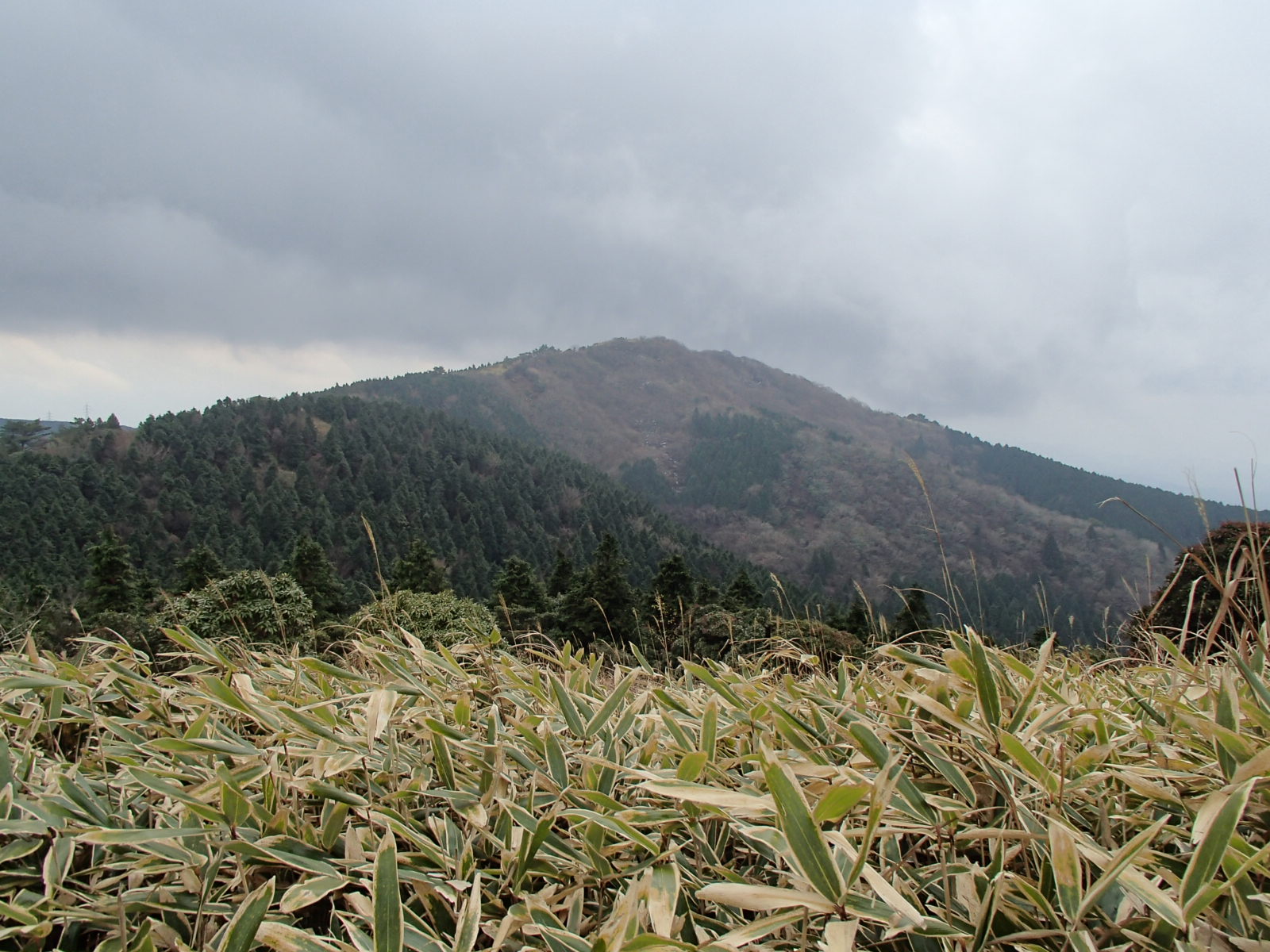 b0276758_172398.jpg