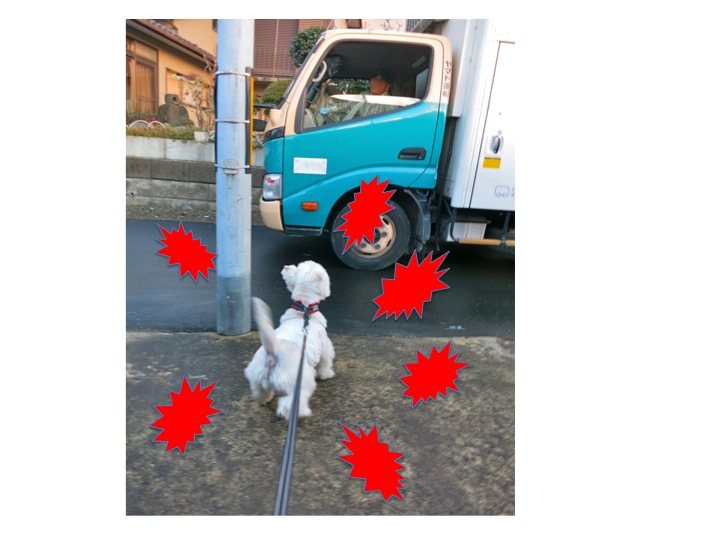 いつも、すみません..._c0260460_1915215.jpg