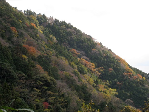 晩秋の高草山・満観峰_d0164761_10222373.jpg