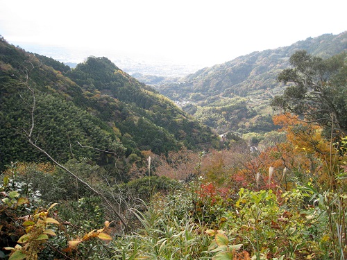 d0164761_10255597.jpg