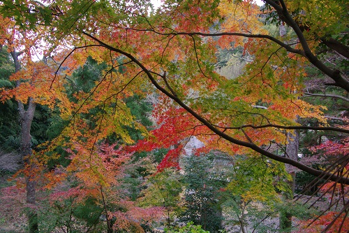 晩秋の高草山・満観峰_d0164761_10312524.jpg