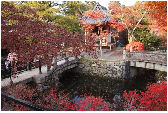 京都観光２・清水寺_d0259267_2183763.jpg