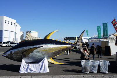 オビダラ館2013 in 日南カツオ・マグロ祭り_f0138874_11325996.jpg