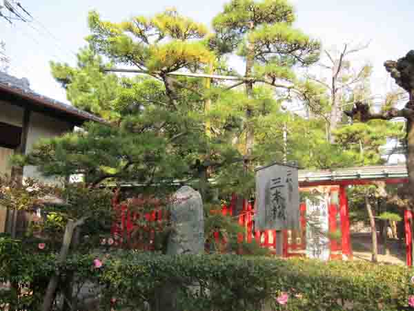 伊弉册(いざなみ)神社_a0045381_7581479.jpg