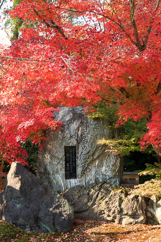 北野天満宮　御土居の紅葉へ_f0224083_22231393.jpg