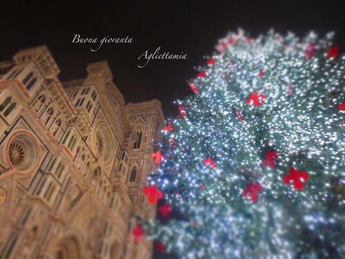 キラキラDUOMO のクリスマスツリー★あんな角度、こんな角度から_c0179785_45945.jpg