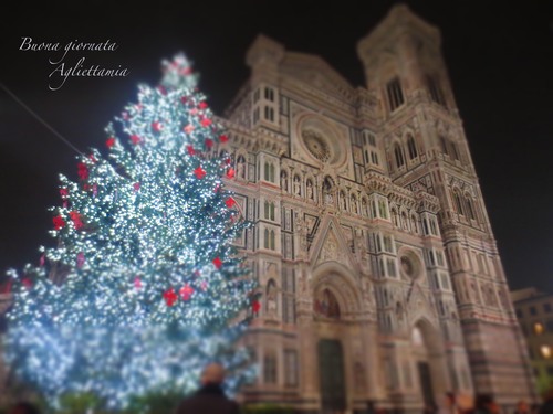 キラキラDUOMO のクリスマスツリー★あんな角度、こんな角度から_c0179785_46309.jpg