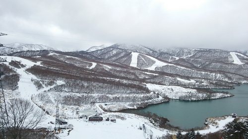 e0015490_19433483.jpg