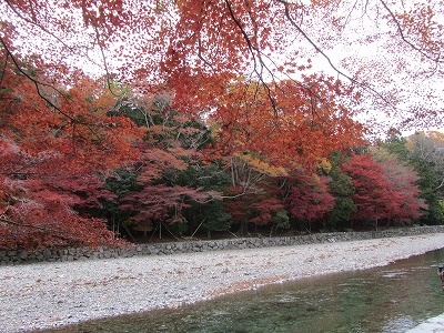 伊勢神宮参拝_b0209691_40102.jpg