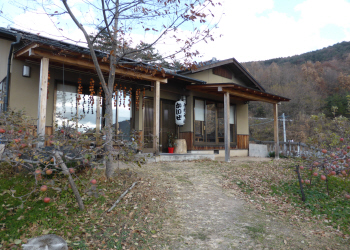 c0125996_16494510.jpg
