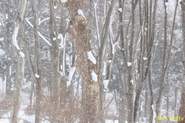 今年と自分を振り返る写真(2)_a0158797_233328.jpg