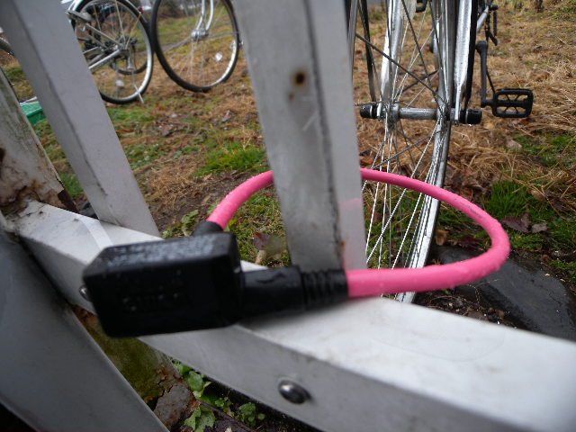 a0199297_1455567.jpg