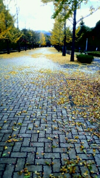 e0001906_8103776.jpg