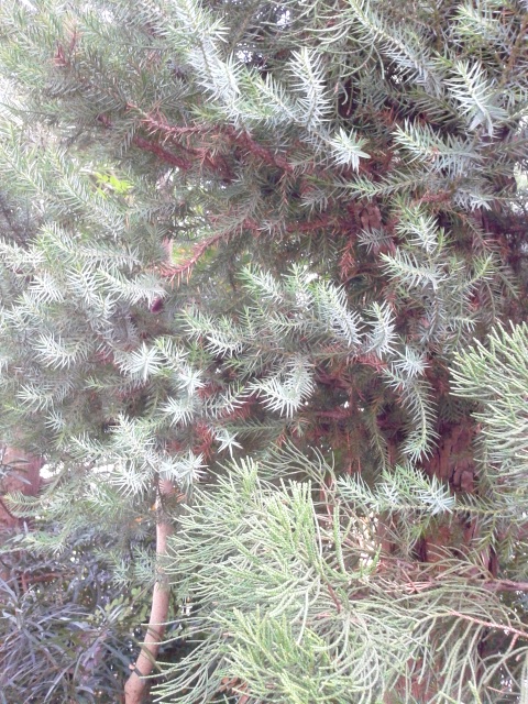 f0024708_18121295.jpg