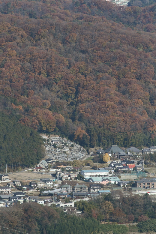 今年最後の彩り - 2013年晩秋・秩父 - _b0190710_23164069.jpg
