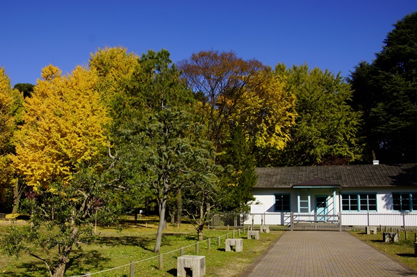 東京さんぽ　in代々木公園_b0137412_23451566.jpg