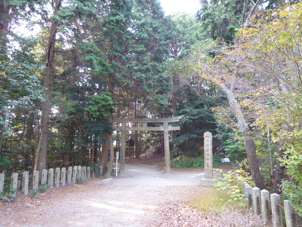 e0233614_20019.jpg