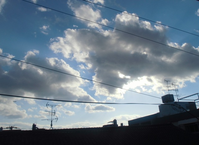 b0181015_1736029.jpg