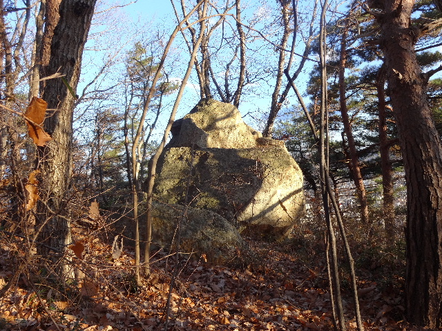 c0141223_2154555.jpg
