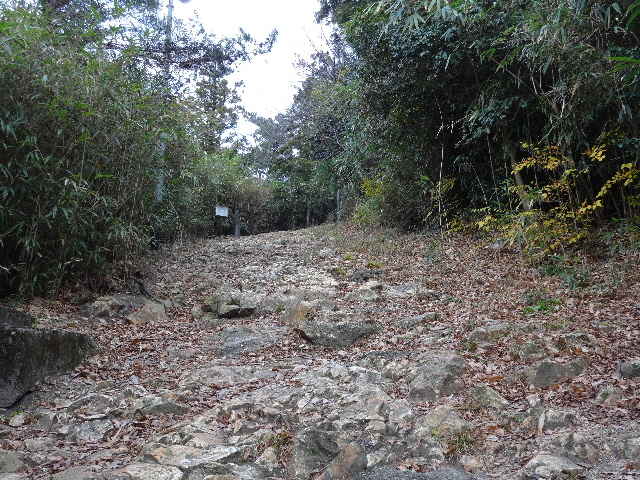 c0141223_21575520.jpg