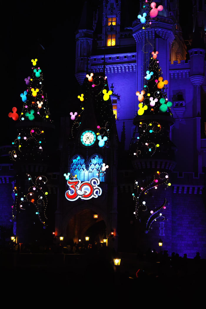 ディズニーランド・クリスマスの夜景_c0223825_1523689.jpg