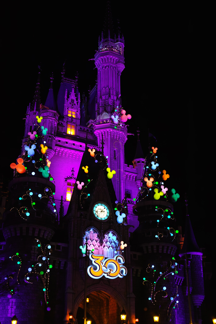 ディズニーランド・クリスマスの夜景_c0223825_1545781.jpg