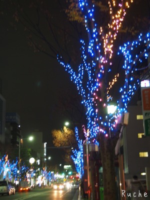c0103830_1558287.jpg