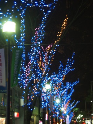 c0103830_1612983.jpg