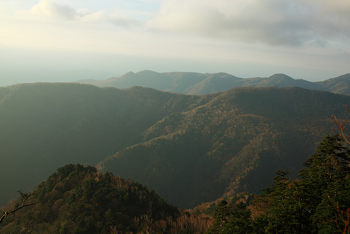 c0313231_1711443.jpg