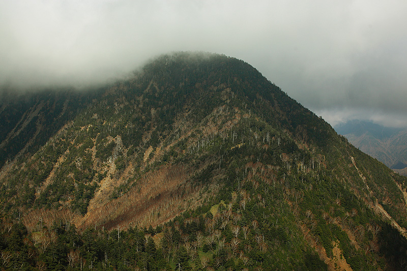 c0313231_17123650.jpg