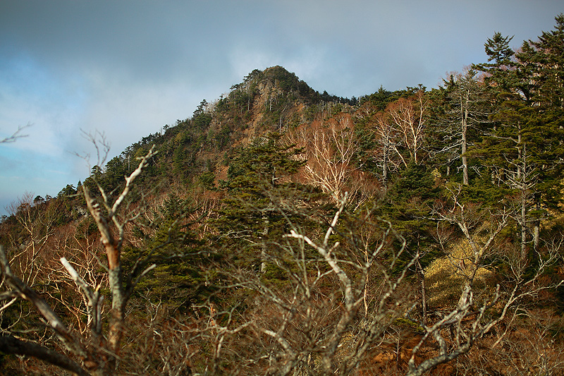 c0313231_1744389.jpg