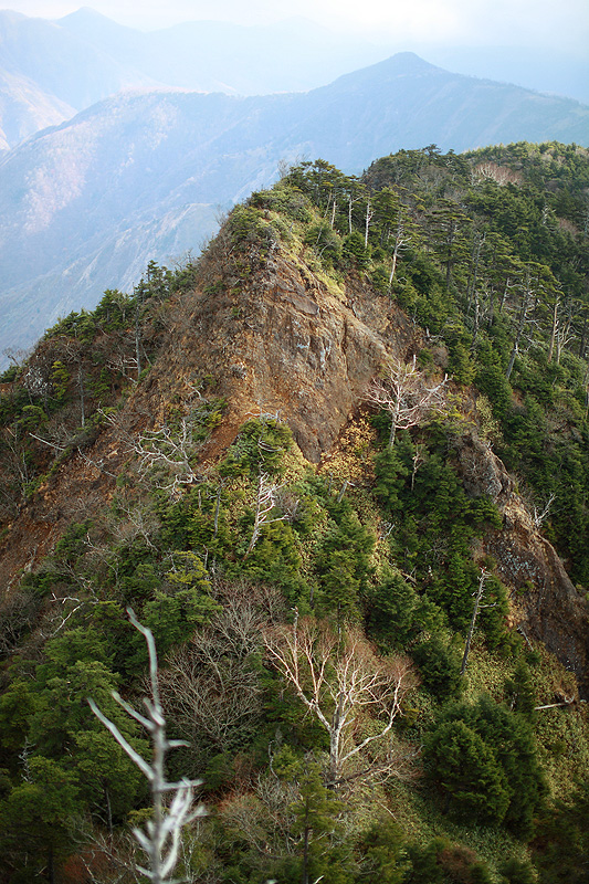 c0313231_1763342.jpg