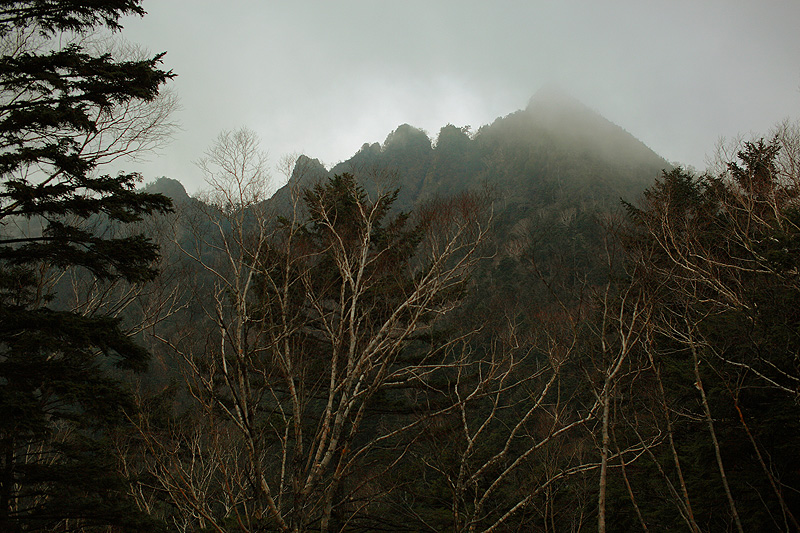 c0313231_1775315.jpg