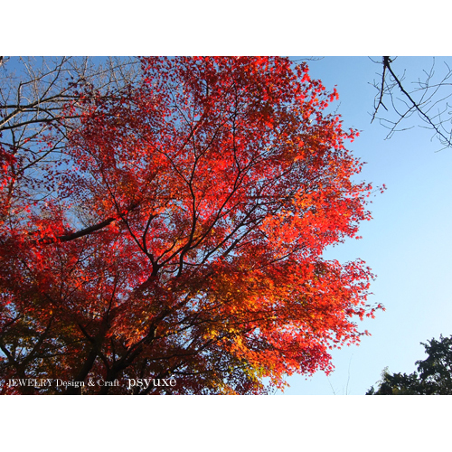 静岡県立美術館へ_e0131432_11445087.jpg