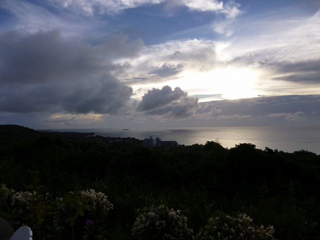 f0207146_1548132.jpg